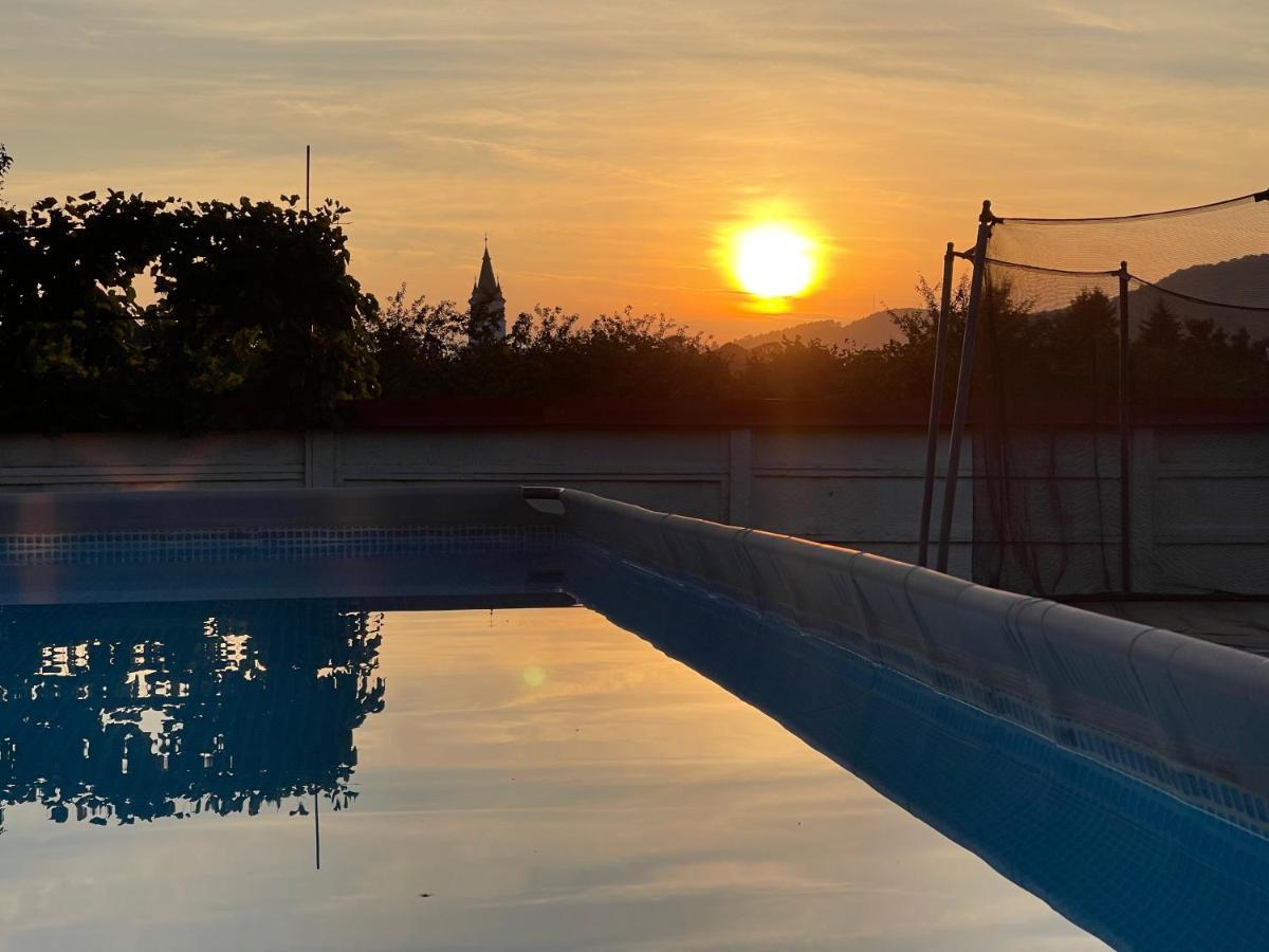 Pensiunea Roma Antica Harman Bagian luar foto