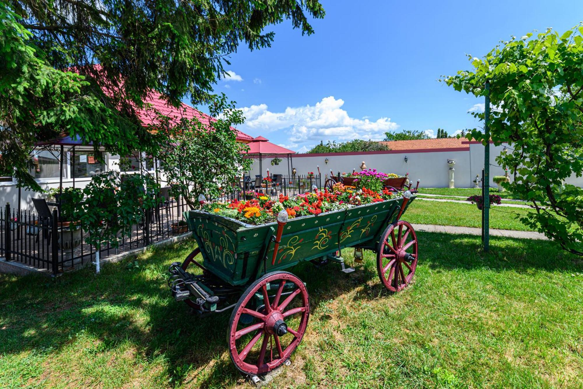Pensiunea Roma Antica Harman Bagian luar foto